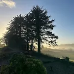 Ballyvourney *