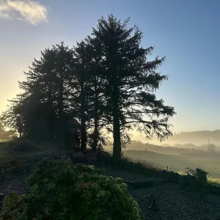 Ballyvourney *